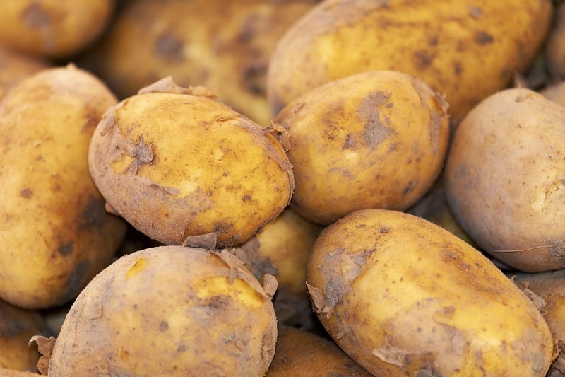 Fictional Crops