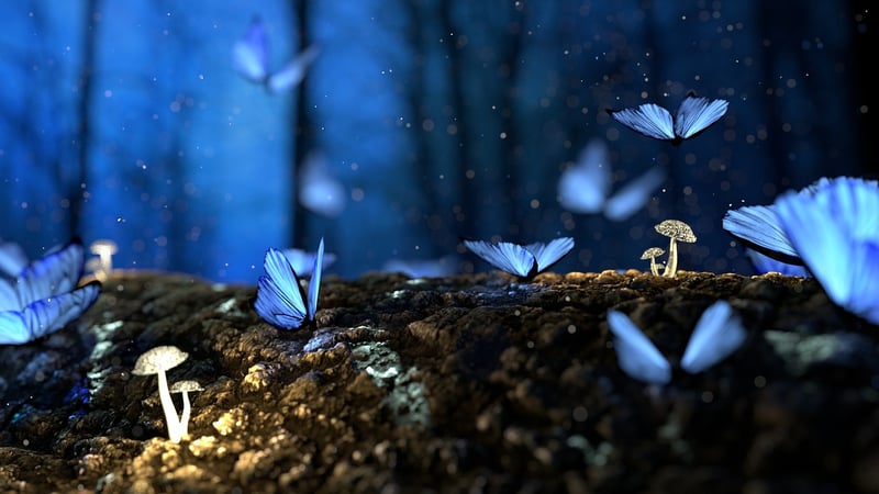 Magical Realm